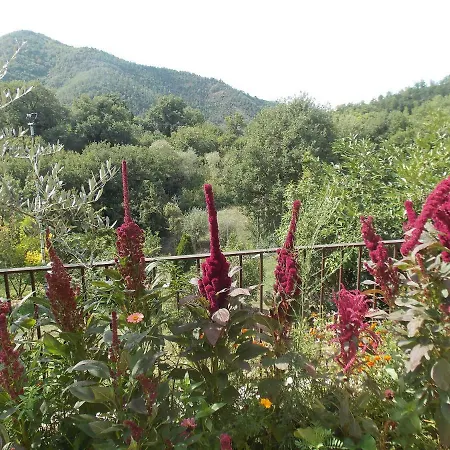 Locazione Turistica Bue Appartement *